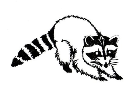 Енот задания для дошкольников