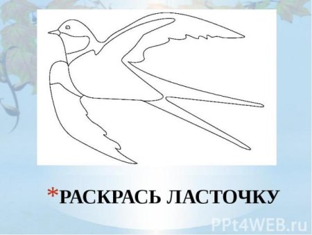 Перелётные птицы вырезать для дошкольников