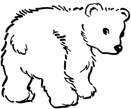 Медведь раскраска