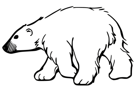 Медведь раскраска
