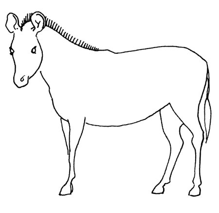 Зебра раскраска