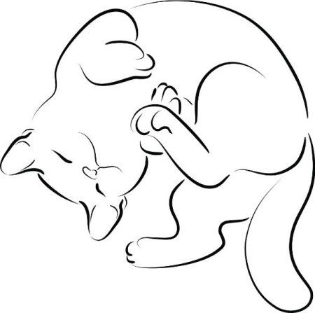 Контур кота сзади