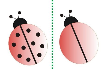 Заготовки для пальчиковых красок