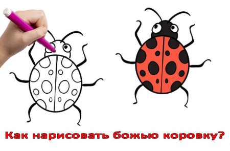 Пластилиновые заплатки для малышей Божья коровка