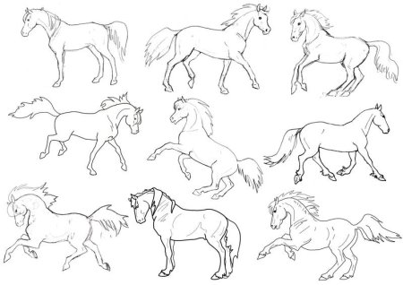 Трафарет коня для рисования (46 фото)