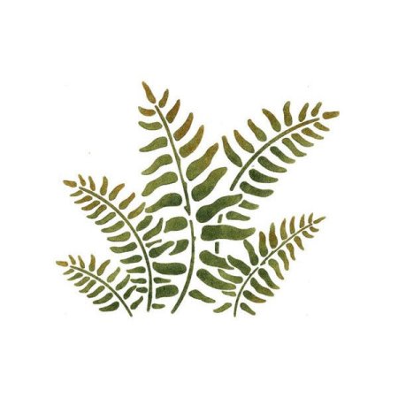 Папоротник силуэт