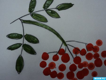 Трафарет грозди рябины для рисования ватными палочками (48 фото)
