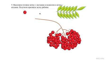 Веточка рябины в помнте