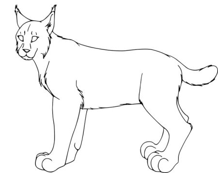 Рысь контур