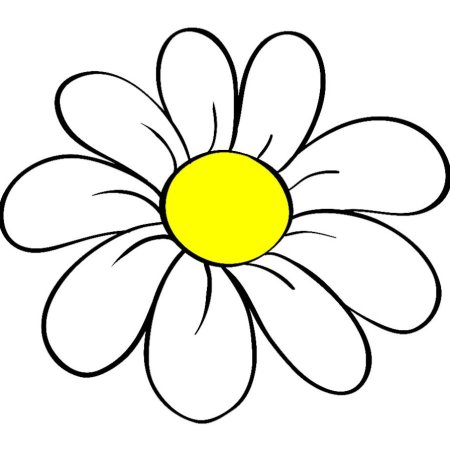 Цветик семицветик