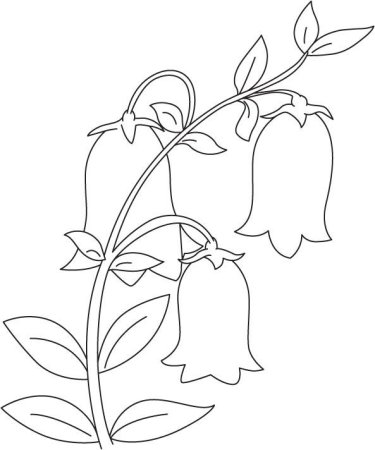 Трафарет растения для рисования (48 фото)