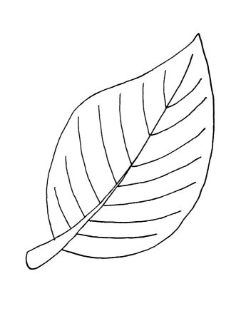 Листочки раскраска