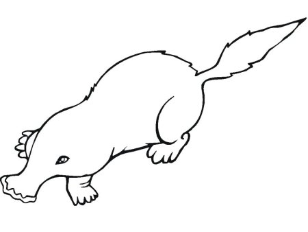 Mole раскраска