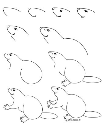 Крот раскраска