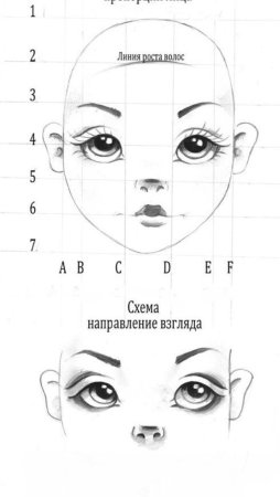 Пропорции лица куклы из ткани