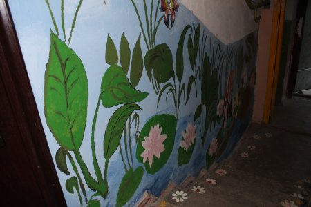 Разрисованные стены в подъезде