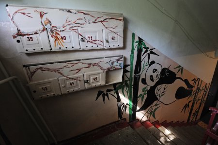 Роспись стен в подъезде