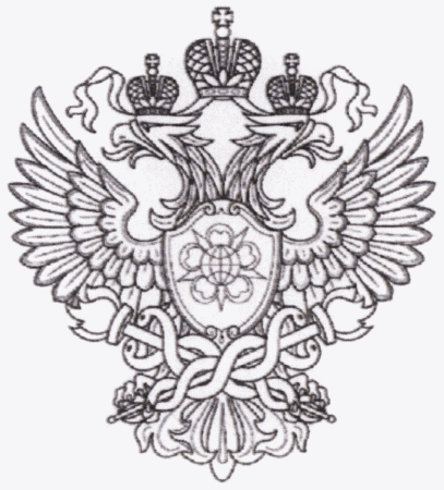 Герб России раскраска