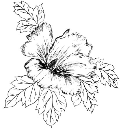 Трафареты цветов для батика