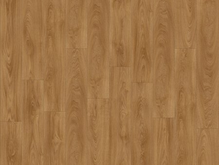 Sierra Oak 58876