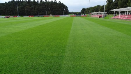 Sport Lawn газонная трава