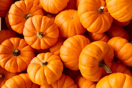 Pumpkin texture