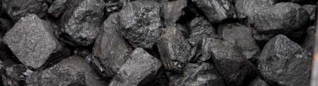 Суббитуминозный каменный уголь