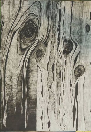 Текстура дерева рисунок (50 фото)