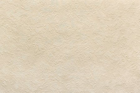 Короед штукатурка фактура бесшовная