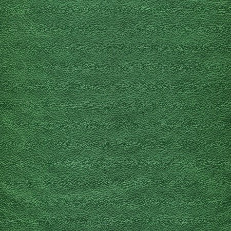 Зеленая кожа фактура