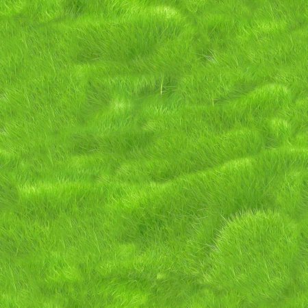Grass textures 2k
