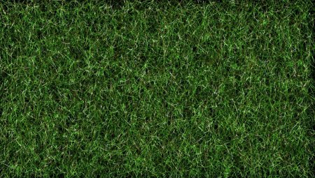 Текстура зеленой травы (35 фото)