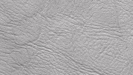 Бесшовная Альфа кожи