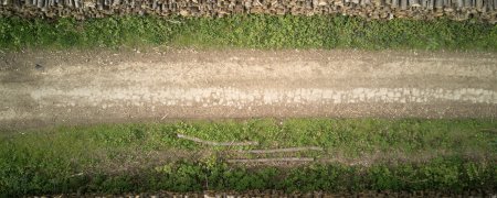 Dirt 3ds Max трава