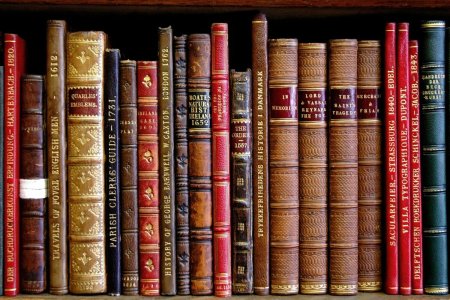 Красивые корешки книг