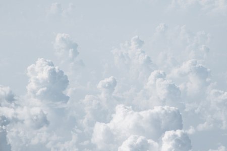 Вайт Клауд (White cloud)