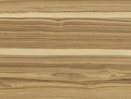 Светлое дерево