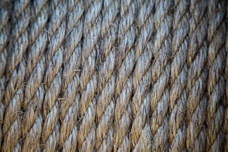 Текстура веревки (48 фото)