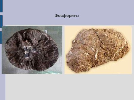 Осадочные фосфориты