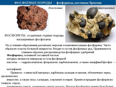 Пластовые фосфориты