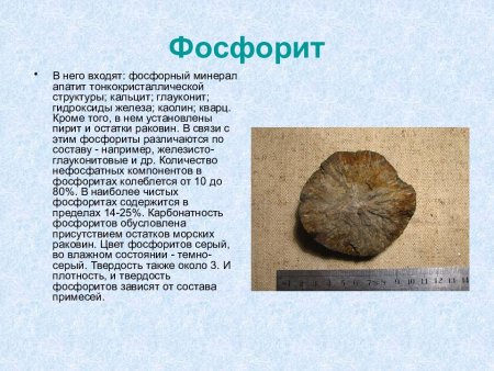 Фосфорит характеристика