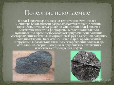 Горючие сланцы и фосфориты