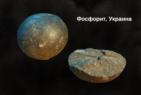 Фосфориты на белом фоне
