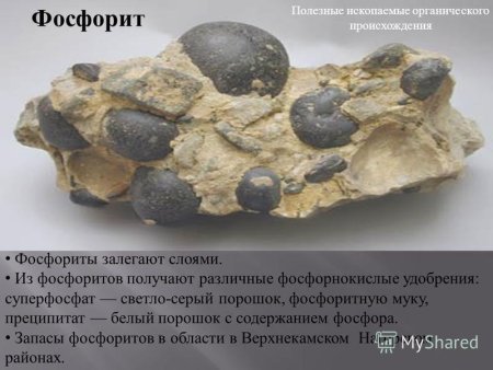 Алевролиты и аргиллиты