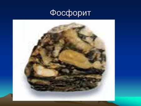 Фосфорит Горная порода