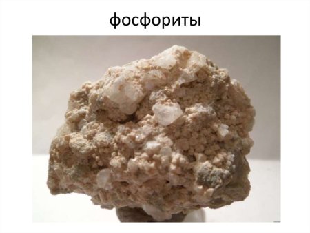 Дунит с хромитом