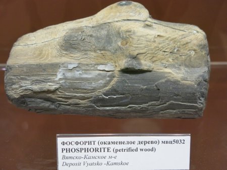 Известняк ракушечник порода
