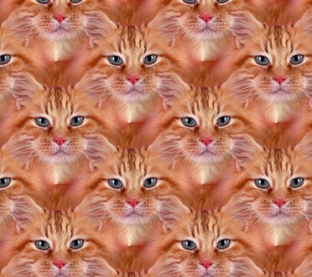 Кошачий фон
