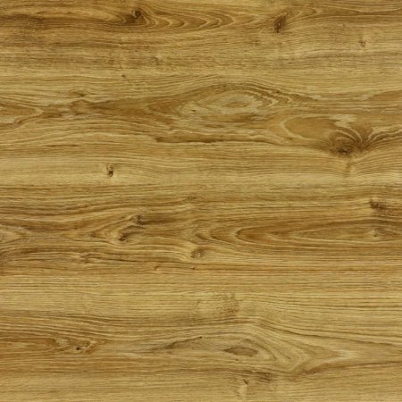 Alpi Elm Burl 10.05