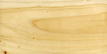 Липа структура древесины